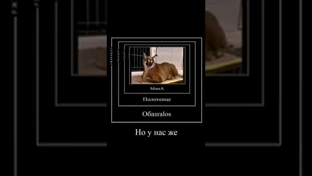 шлепе мама варит суп с чебупелями