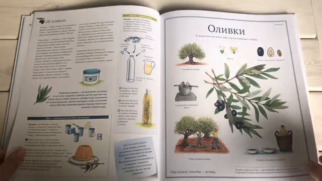 ОбзорКниги 👉 Сокровища земли - изд МИФ смотреть онлайн