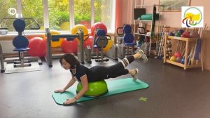 КОМПЛЕКС УПРАЖНЕНИЙ на балансировочной полусфере (БОС)