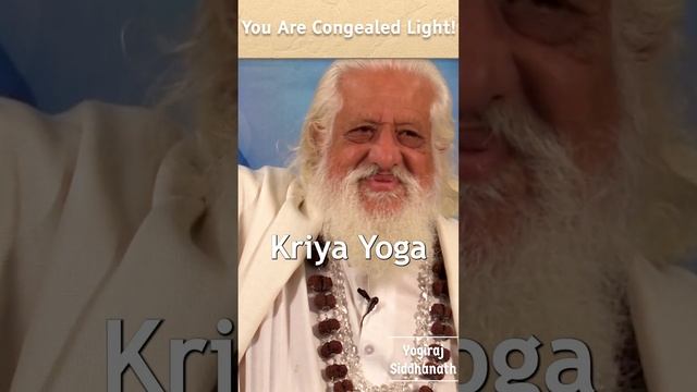 You Are Congealed Light! смотреть онлайн