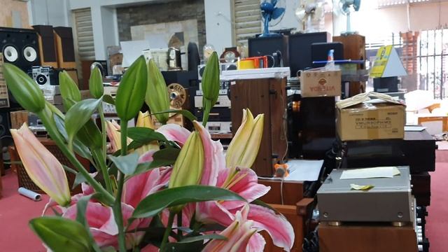 Thêm 1 cặp loa có chủ về Chí Linh Hải Dương dòng JBL 5/1/2020 смотреть онлайн
