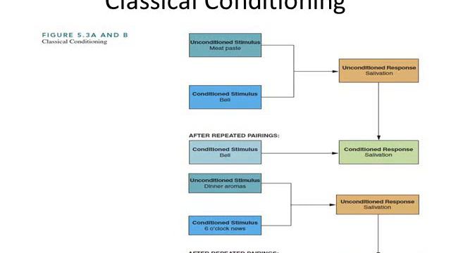 Chapter 5 Consumer Learning Week3 part1 смотреть онлайн