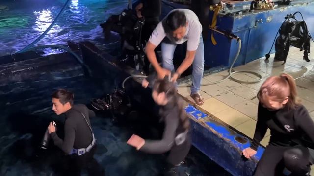 SEHARIAN KELILING ANCOL BARENG HITOMI, RACHEL, YUSUKE! DIVING DI SEAWORLD, SEPEDAAN, DLL! смотреть онлайн