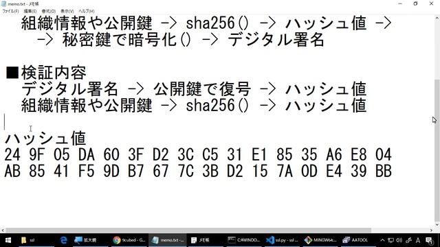 【パソコン講座】第24回 SSLサーバー証明書のデジタル署名の検証【独り言】 смотреть онлайн