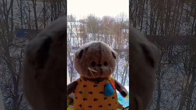 Басик и снег #nastenkakosh #а4 #рек #basik #diy #басик #lol #cat #eat #lalafanfan смотреть онлайн