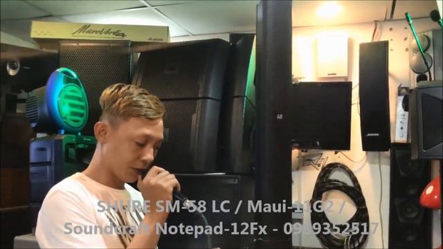 SHURE SM58 LC - Sx Mexico test LD-System Maui 11G2 смотреть онлайн