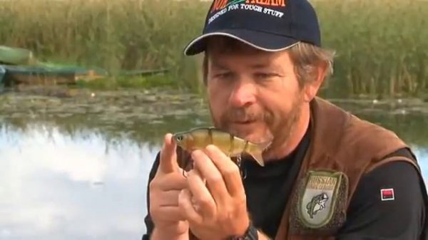 Воблеры IZUMI Изуми Япония