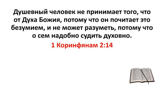 Библия, Новый Завет. 1 Коринфянам 2:14 смотреть онлайн