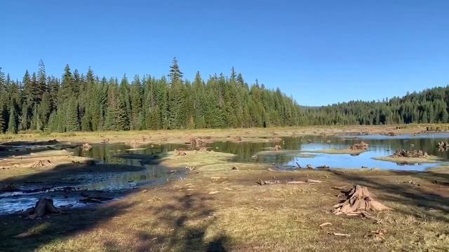 Разноцветные Струи