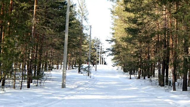 На лыжне в Сосновке. Чебоксары. смотреть онлайн