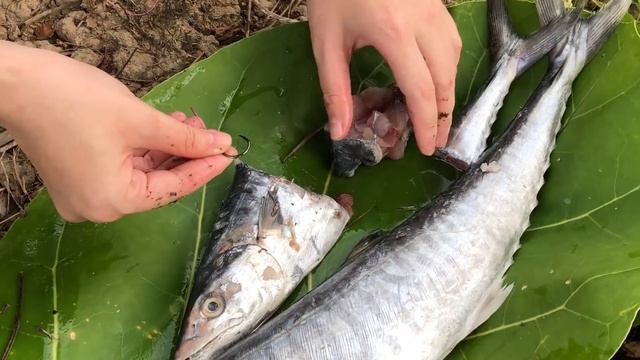 Fishing with KINGFISH for HUGE Fish! смотреть онлайн