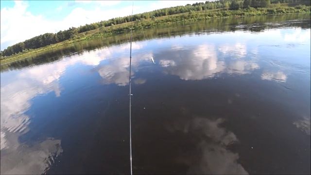 Ходовая рыбалка на спиннинг по реке / Ловля щуки на воблер осенью/ Забродный костюм Norfin смотреть онлайн