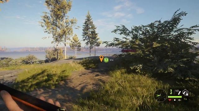 Новый заказник - Revontuli Coast в theHunter: Call of the Wild - Первый взгляд смотреть онлайн