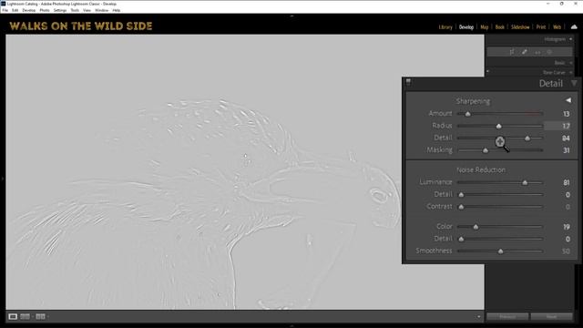 How I get clean images from high ISO photos смотреть онлайн