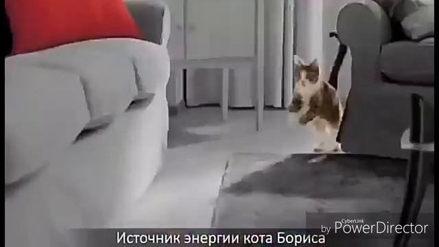 Угар… Кот Борис смотреть онлайн