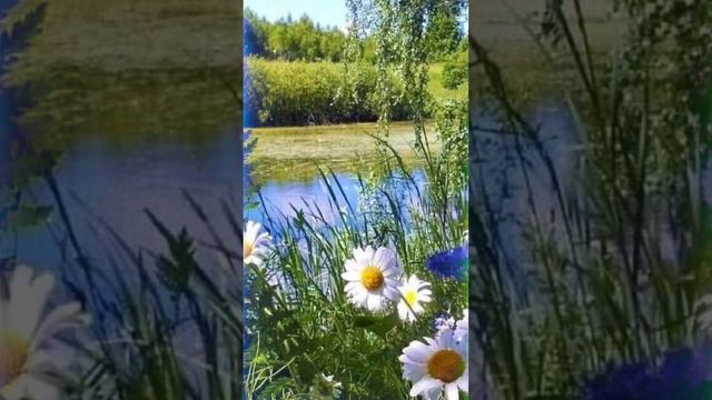 С самым добрым утром,лучшим утром!💕