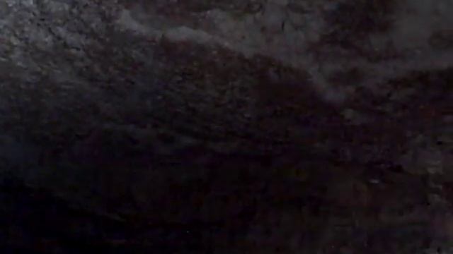 Spider Cave at the Carlsbad Caverns National Park смотреть онлайн