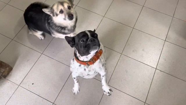 Рождение сыра ? смотреть онлайн