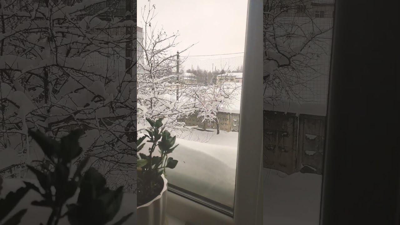 Сугробы даже на окнах)). смотреть онлайн