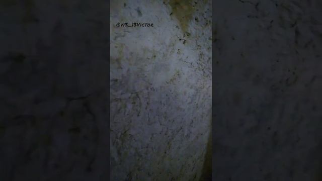 Подземные казематы замка Вевельсбург (1603г)? смотреть онлайн