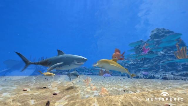 EL ARRECIFE ENCANTADO: KALUOKA'HINA (SISTEMA FULLDOME 3D) смотреть онлайн
