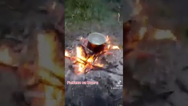 рыбаки на Волге щука 25 кг#щука## смотреть онлайн