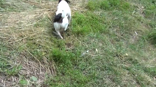 Лето 2015 речка "СЕВЕРКА" смотреть онлайн