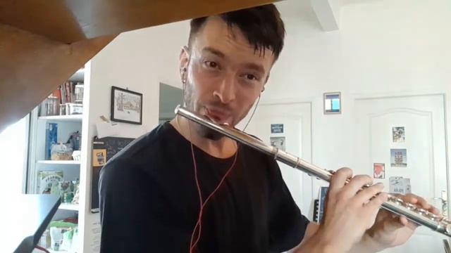After you've gone intro (flute cover) - Django Reinhardt смотреть онлайн