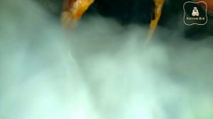 Нюансы электростатического копчения. Статья от разработчиков  коптилень.