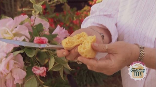butter.exe ~ Paula Deen YTP смотреть онлайн