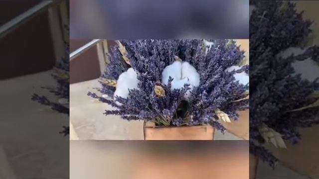 Композиция из лаванды и хлопка смотреть онлайн