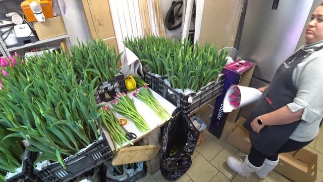 Первый срез тюльпана 2023 | Фотосессия с цветами смотреть онлайн