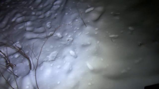 На ЖИГУЛИ в Париж | Паранормальное в лесу | Подстава Гусейн смотреть онлайн