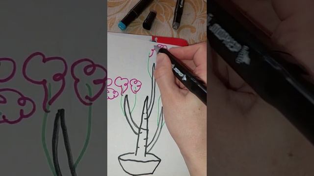 Обрезка пеларгонии смотреть онлайн