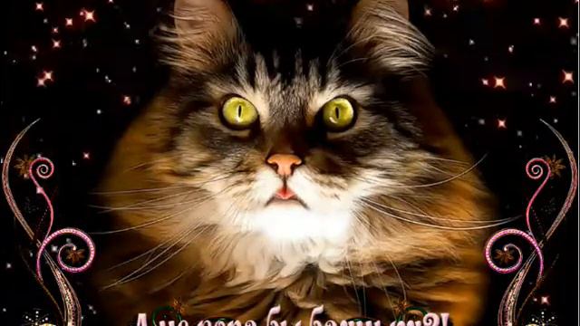 А НЕ ПОРА ЛИ БАИНЬКИ смотреть онлайн