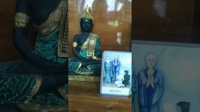 Are You Ready to be the Master of Your Destiny🌅 смотреть онлайн