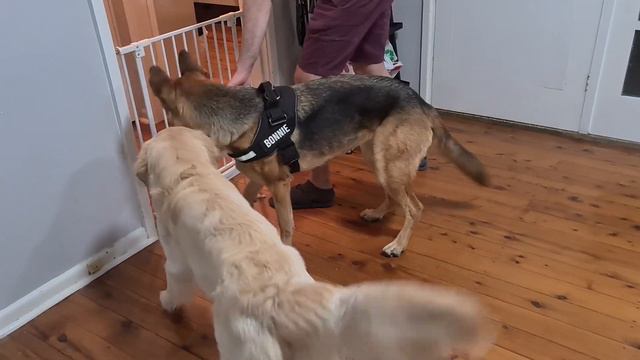 Bonnie meets Chie and Nora смотреть онлайн