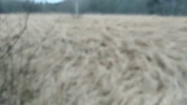 ЯНВАРСКИЙ КОП С СТХ 3030(часть 1)