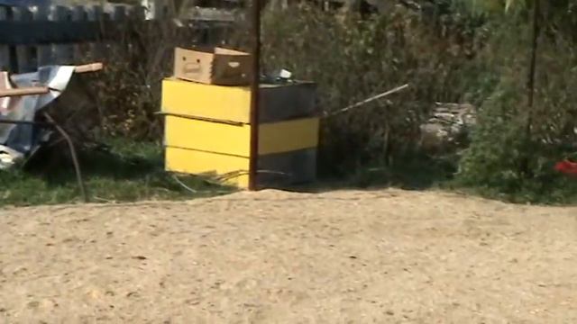 эри и спенсер забор смотреть онлайн