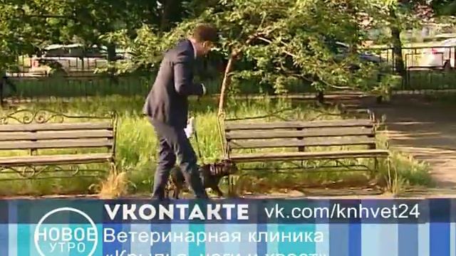 Стрижки для самых модных образов