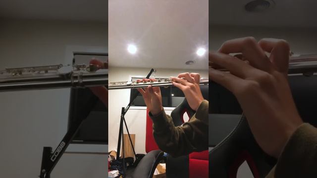 Does the flute or piccolo sound better? (Army of Angels) смотреть онлайн
