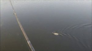 Ловля на пенопласт . РАЗМЕР , КОЛИЧЕСТВО -  КАЧЕСТВО ?!