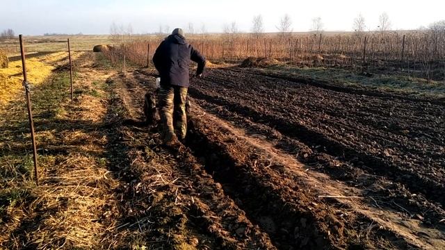 Первая ровная борозда. Мотоблок пашет сам. смотреть онлайн