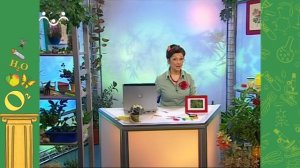 АЗН. Биология. Клетка. Понятие. Виды. Растения-указатели