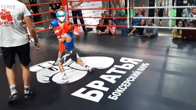 Гинкул Давид кубок БК братья смотреть онлайн