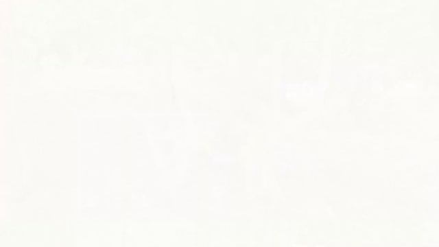 Letta Kochchi Shrub / Watha Banga (Pisonia Grandis)