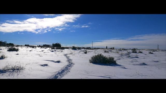 Panasonic LX100 Inexpensive 4k Camera German Shepherd Fun смотреть онлайн