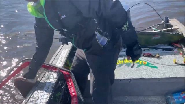 Мышки на Севере! Щучьи танцы с Big Miuras Mouse!