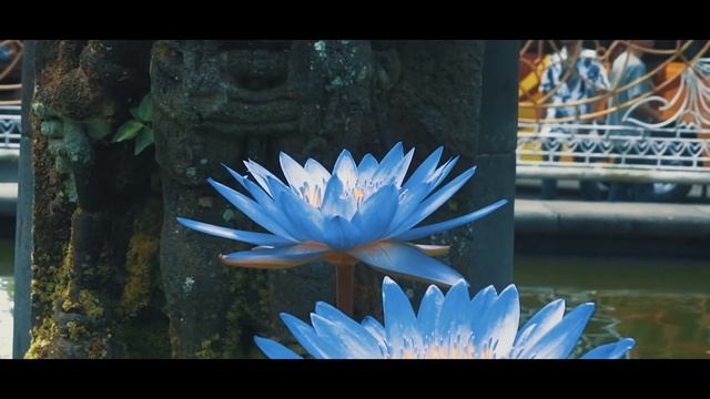 Explore Indonesia, Yogyakarta смотреть онлайн