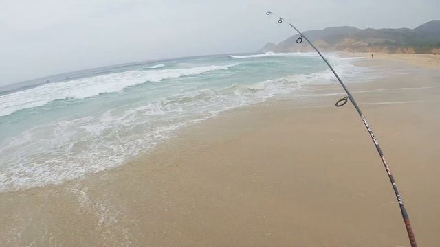 MINI Fishing Pole CHALLENGE on the SURF!!! Using Gulp Worms and Sand Crabs | ITGETSREEL Episode 157 смотреть онлайн